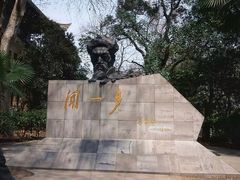 -武汉大学-樱园