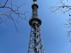 -风云岭森林公园