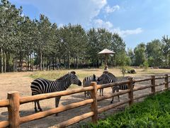 -大连森林动物园