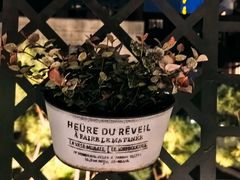 -杭州城中香格里拉大酒店