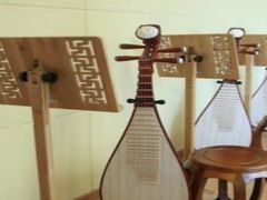 -音歆国艺馆·民乐培训(双榆树店)