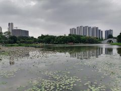 -映月湖公园