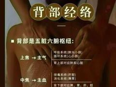 -莱仪堂艾灸经络养生馆(九亭一店)