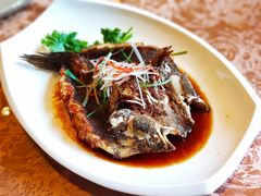 -喜来登由由大酒店九州膳坊中餐厅