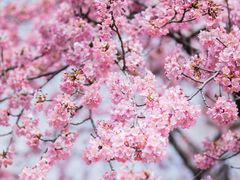 -上海辰山植物园