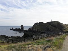-涉地可支