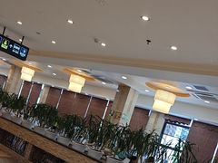 -椿记烧鹅(北门店)