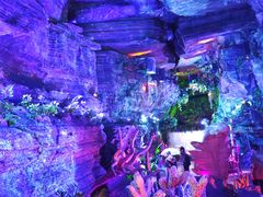 -梭布垭石林景区