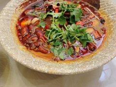 精品毛血旺-成都驻京办餐厅(蜀都宾馆店)