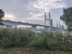 -武昌江滩