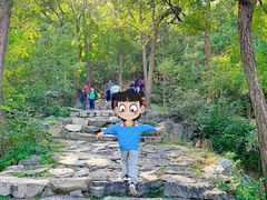 -北京鹫峰国家森林公园
