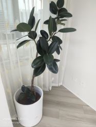 -HEYAN荷妍专业脱毛连锁机构