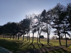 -汉长安城未央宫国家考古遗址公园