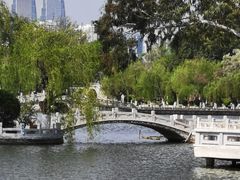 -庾园