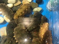 -哈尔信食品超市(哈尔滨王府井购物中心店)