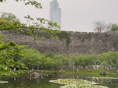 -紫峰大厦