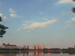 -尚贤河湿地