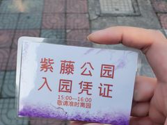 -嘉定紫藤园
