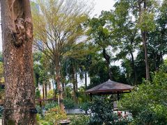 -深圳国际园林花卉博览园