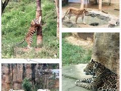 -杭州野生动物世界