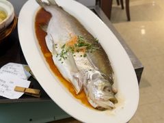 -阿英煲(凉城路店)