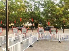 -大槐树寻根祭祖园