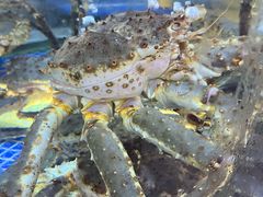 -欢乐海岸美食联盟