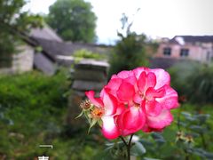 -青岩古镇