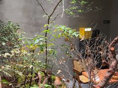 -森SPA·泰式按摩·精油Massage(宝安中心店)