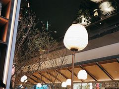 -桂满陇·海市蜃楼·黑金(国金店)