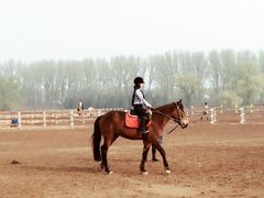 -月河湾马术俱乐部(朝阳店)