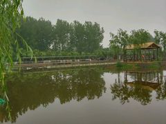 -同銮特种养殖场·龙虾垂钓