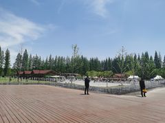 -黄海国家森林公园