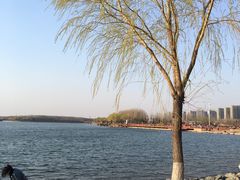 -丁香湖公园