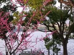 -梅城古镇