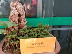 -国家植物园南园