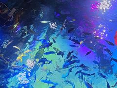 -沈阳海洋探索中心