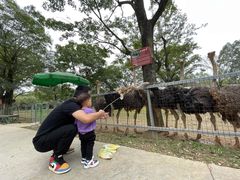 -秀丽东方