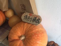 -北戴河集发农业梦想王国