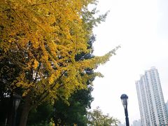 -苏州河梦清园环保主题公园