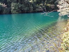 -鼎湖山风景区