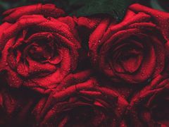 -潮发潮汕牛肉店(龙洞店)