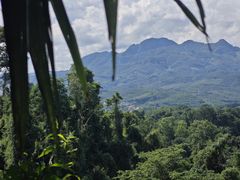 -中国科学院西双版纳热带植物园
