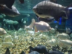 -成都浩海立方海洋公园