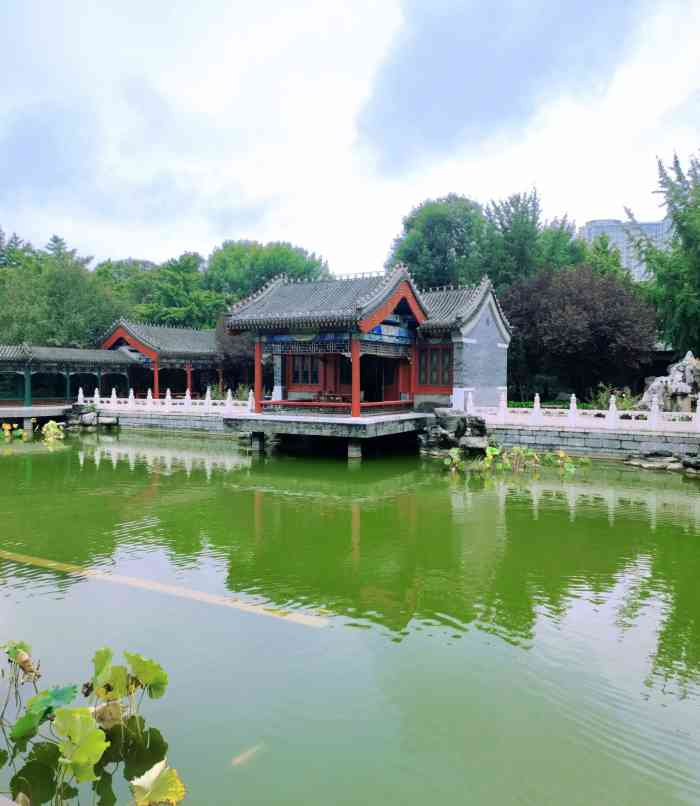 北京郡王府饭店·四面荷风-"最好吃的是橘子大福里面的橘子和豆蓉