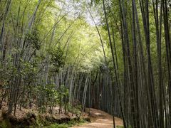 -苏州环秀晓筑养生度假村