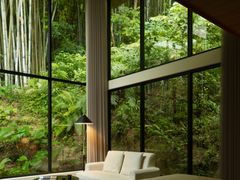 -广州白江湖森林公园