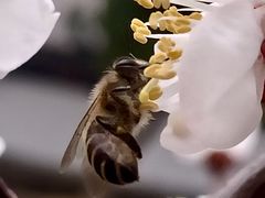 -苏州大学附属第二医院(三香院区)