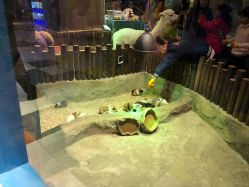 -宝燕乐园(闵行旗舰店)