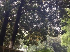 -江西财经大学(蛟桥园南校区)